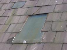 Georgian wire plated glass roof window